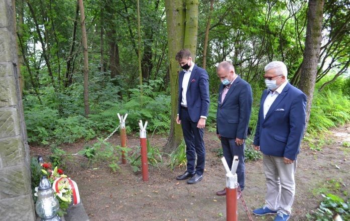 Zdjęcie z galerii