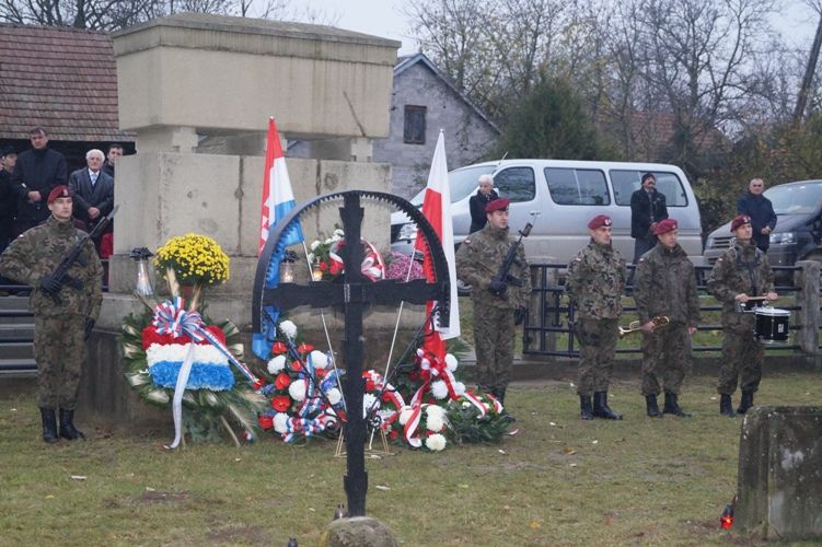 Zdjęcie z galerii