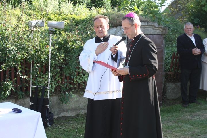Zdjęcie z galerii