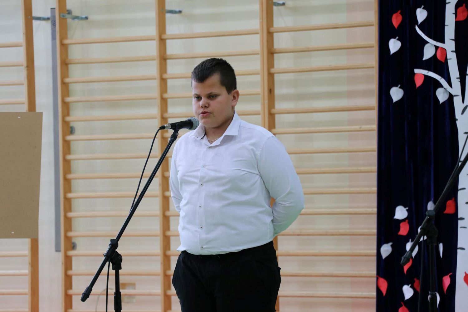 Zdjęcie z galerii