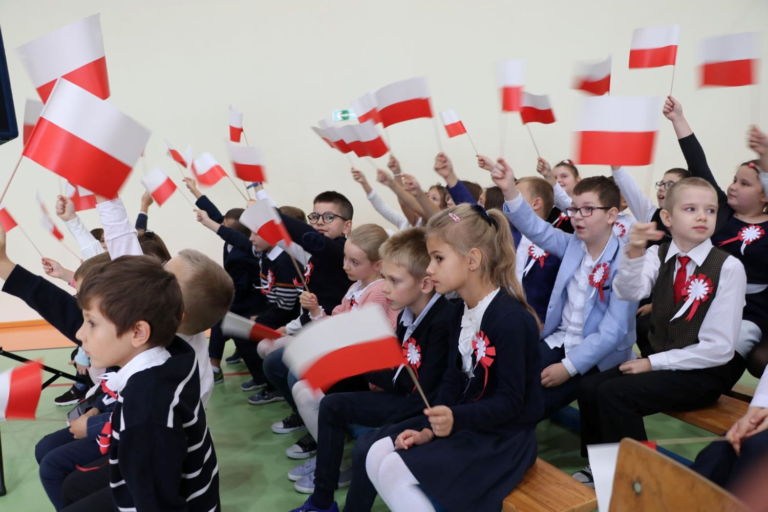 Zdjęcie z galerii