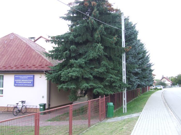 Zdjęcie z galerii