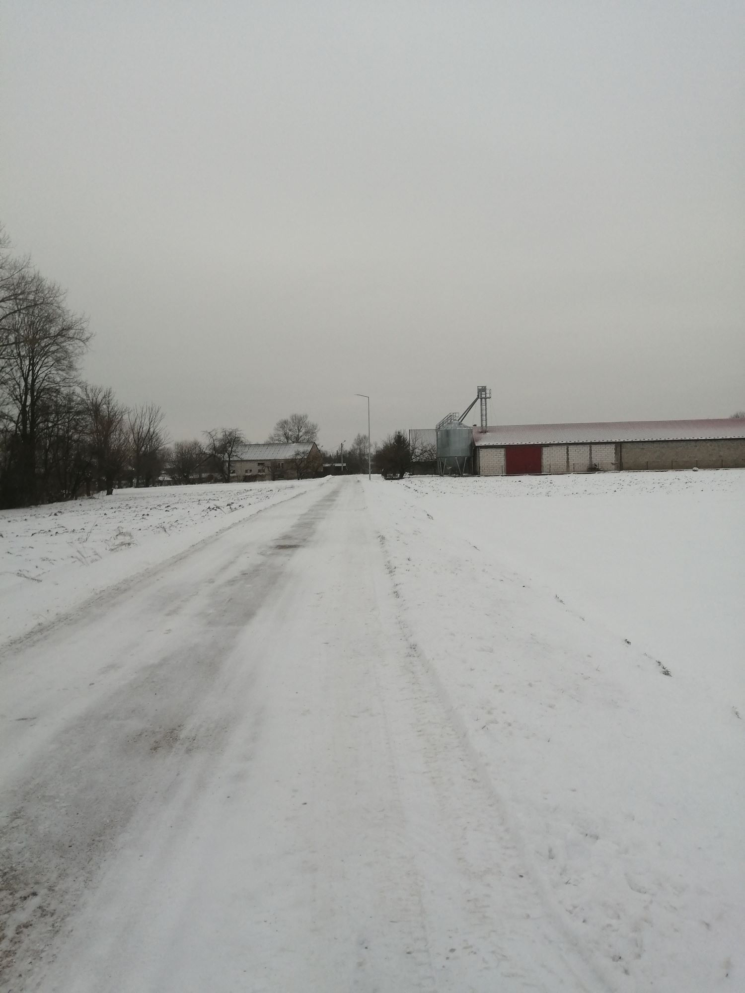 Zdjęcie z galerii