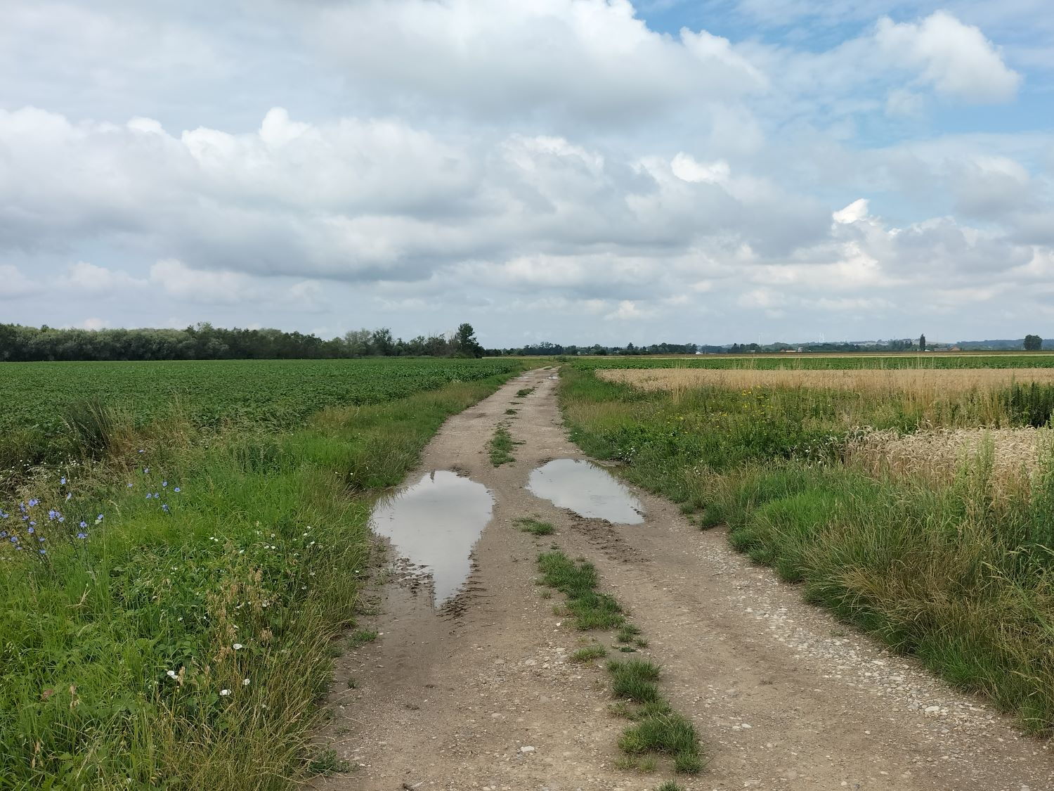 Zdjęcie z galerii