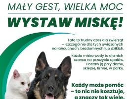 Plakat wystaw miske miniatura