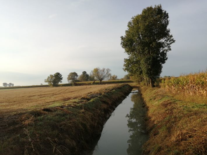 Zdjęcie z galerii