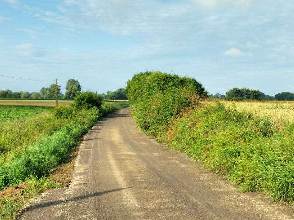 Zdjęcie z galerii