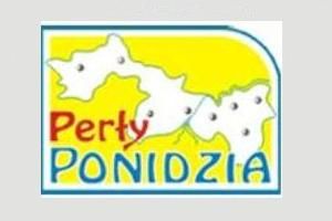 Spotkanie informacyjno-warsztatowe zaplanowane w ramach konsultacji społecznych przy opracowaniu Strategii Rozwoju Lokalnego Kierowanego przez Społeczność (LSR) dla obszaru działania LGD 