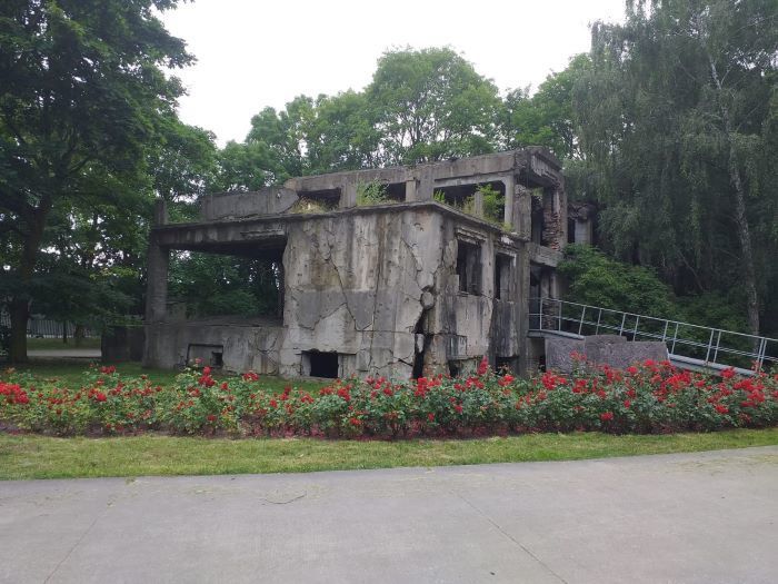 Zdjęcie z galerii