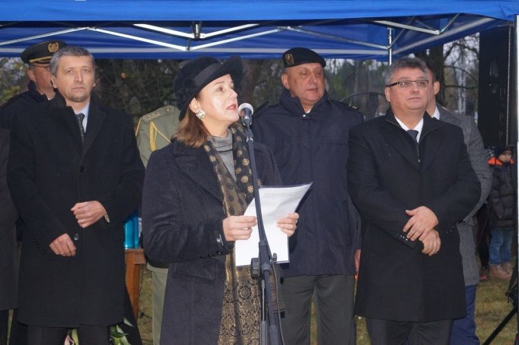 Zdjęcie z galerii
