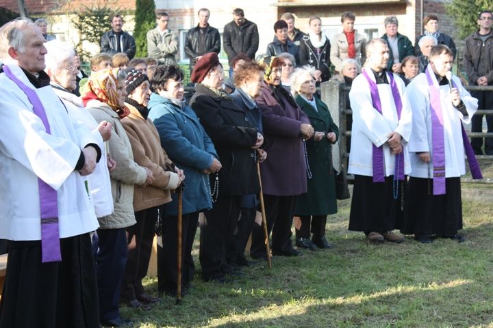 Zdjęcie z galerii