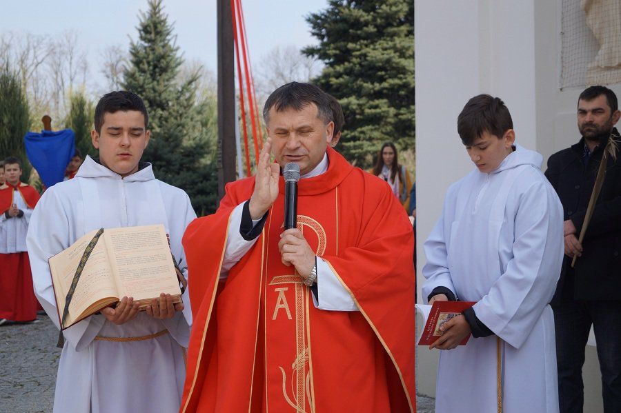 Zdjęcie z galerii