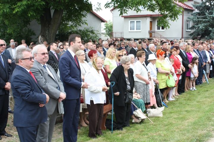 Zdjęcie z galerii