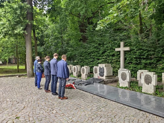 Zdjęcie z galerii