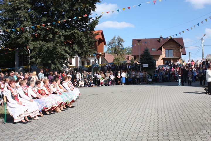 Zdjęcie z galerii