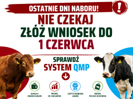 Dobrostan zwierząt miniatura