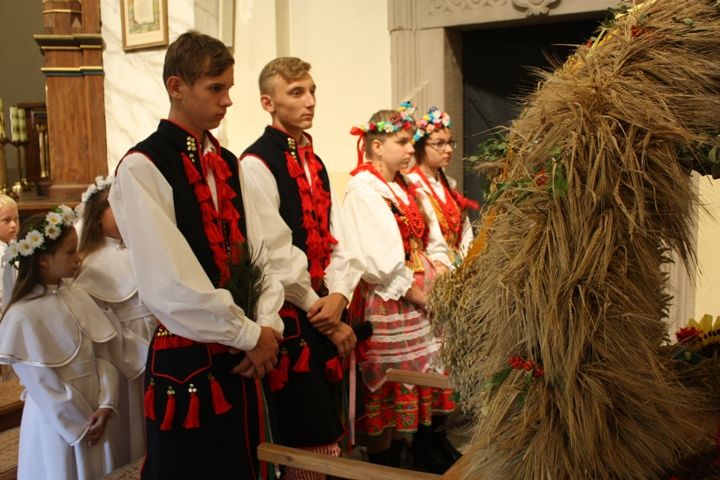 Zdjęcie z galerii
