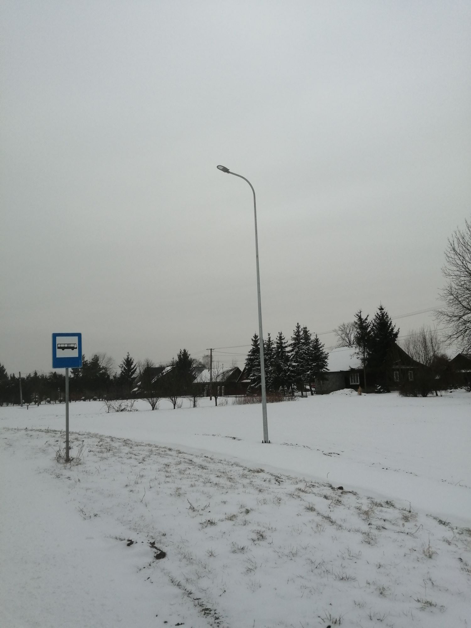 Zdjęcie z galerii