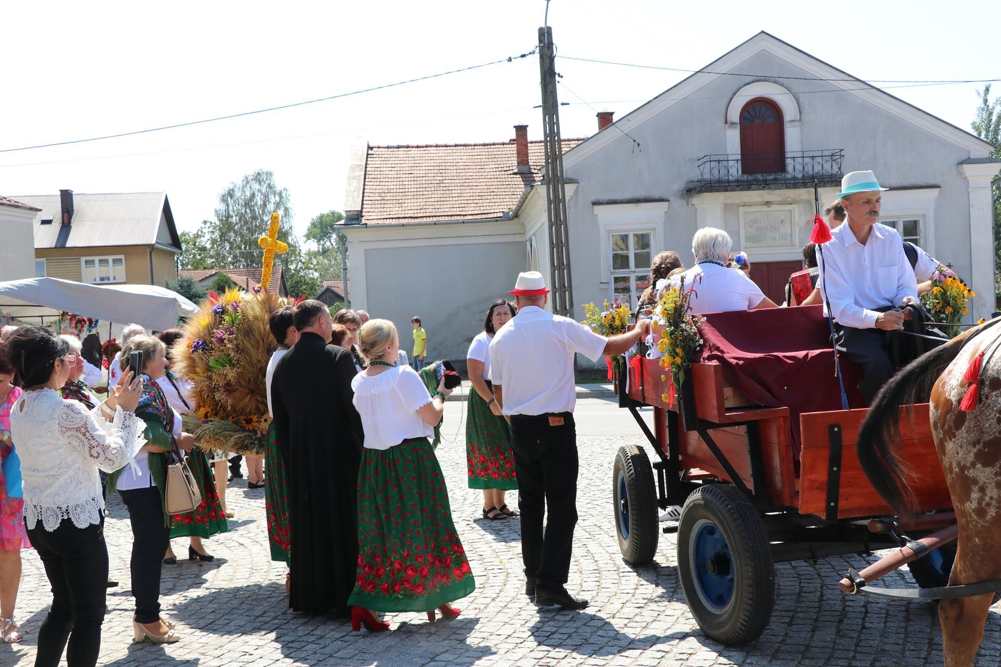 Zdjęcie z galerii
