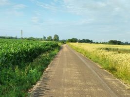 Przebudowa drogi dojazdowej