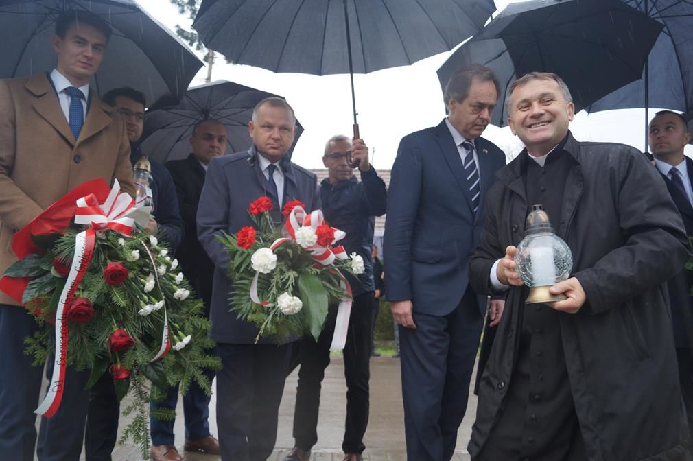Zdjęcie z galerii
