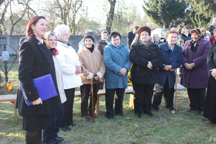 Zdjęcie z galerii