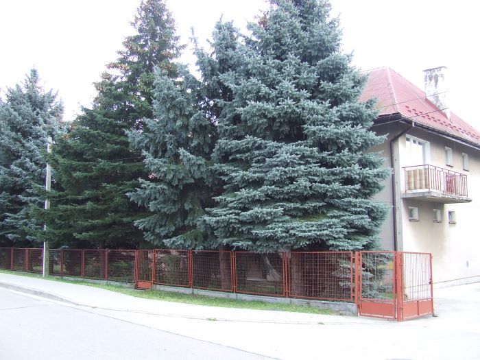 Zdjęcie z galerii
