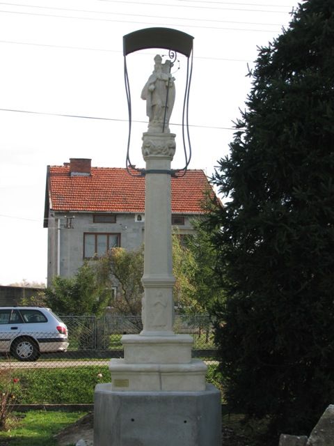 Zdjęcie z galerii