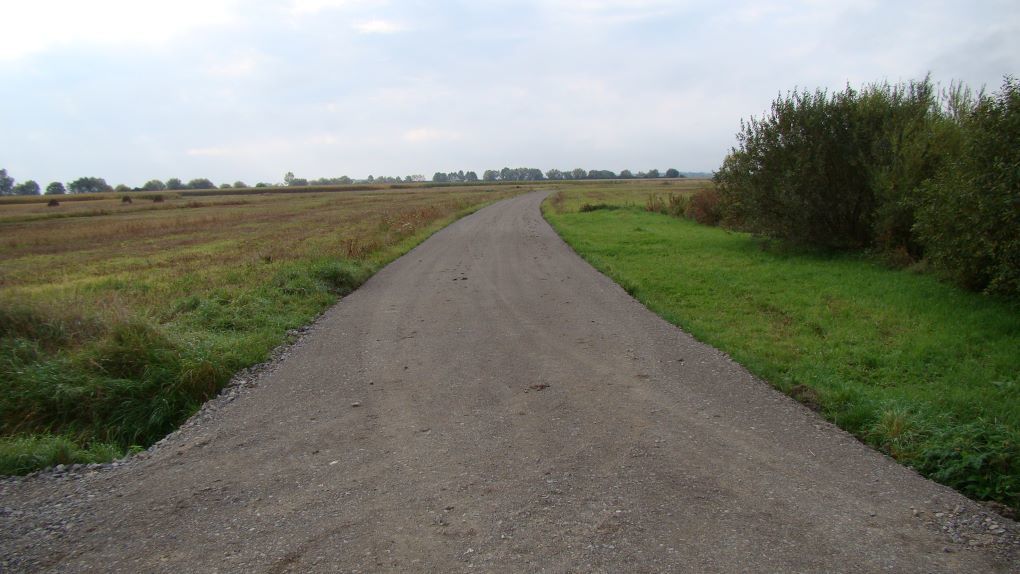 Zdjęcie z galerii