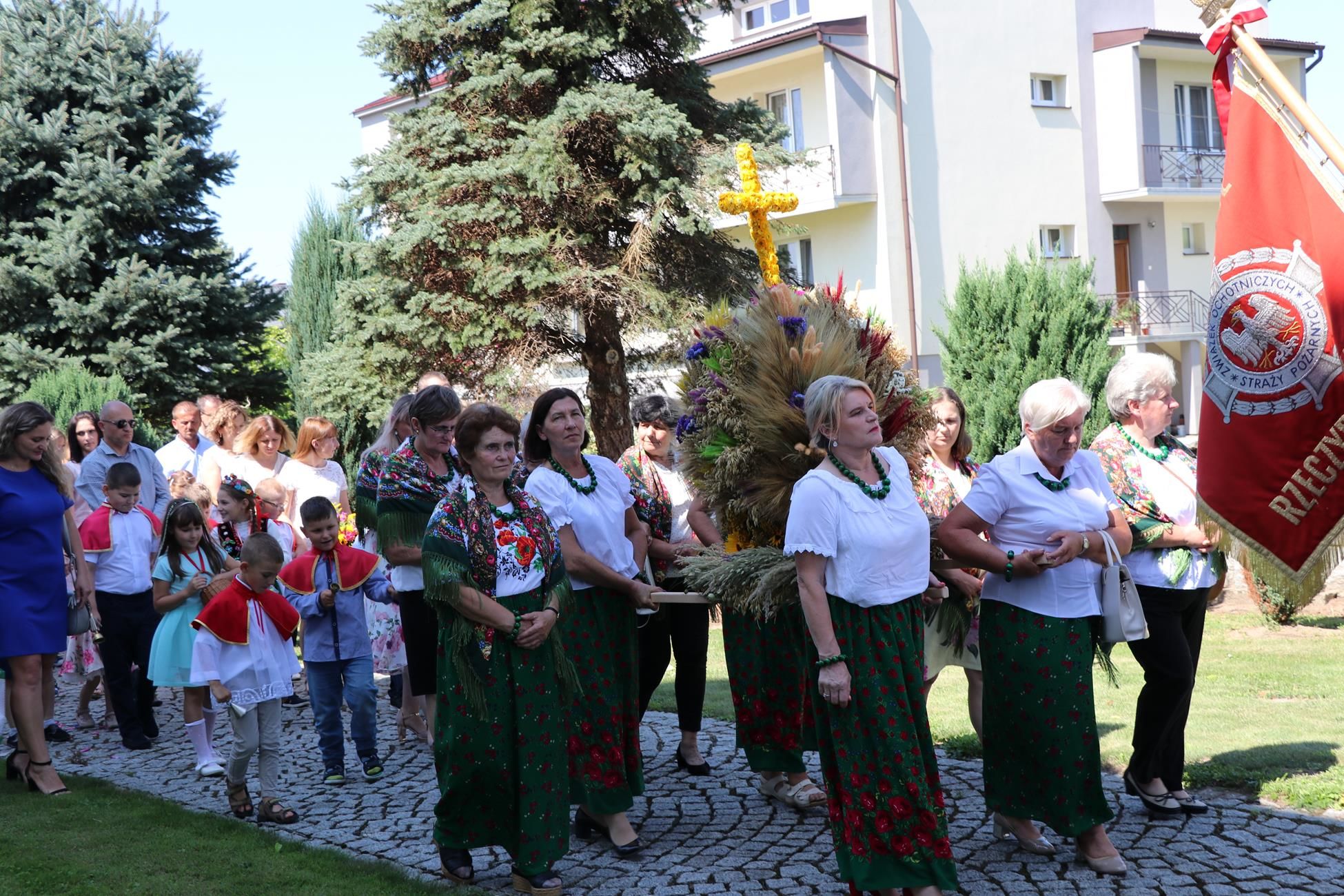 Zdjęcie z galerii