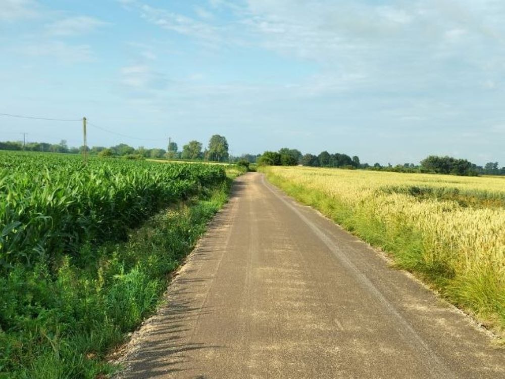 Zdjęcie z galerii