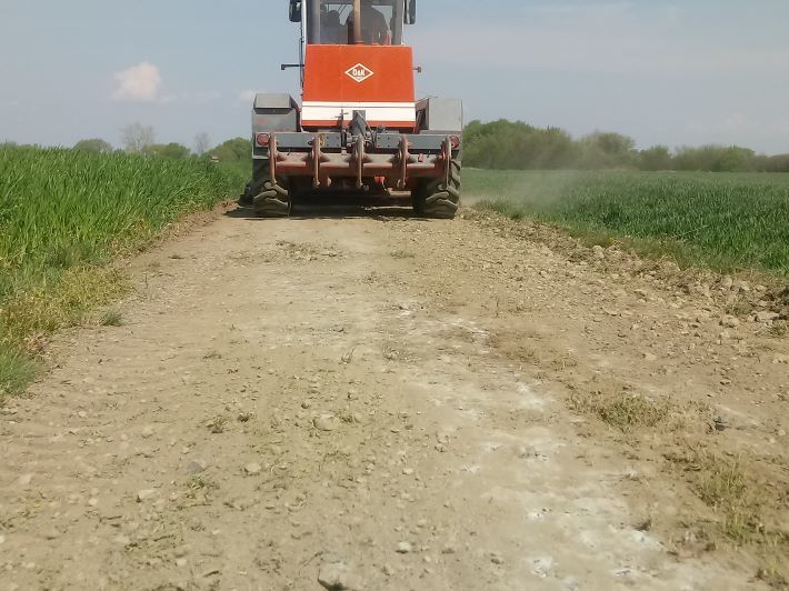 Zdjęcie z galerii