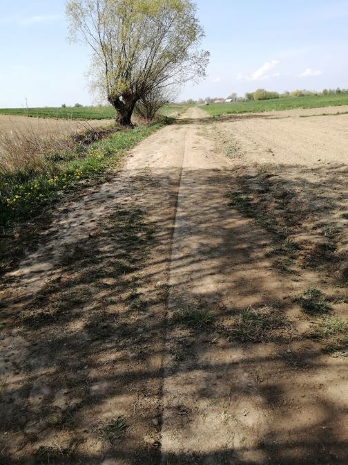Zdjęcie z galerii