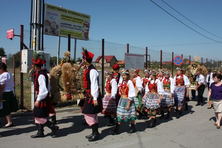 Zdjęcie z galerii
