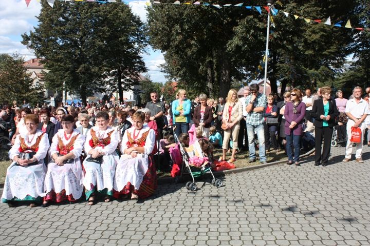 Zdjęcie z galerii
