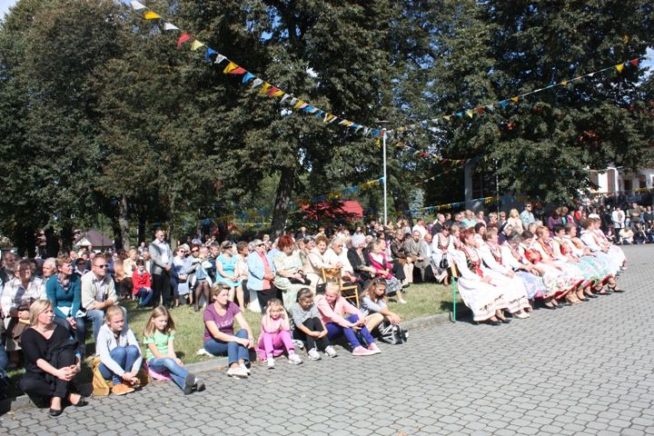 Zdjęcie z galerii