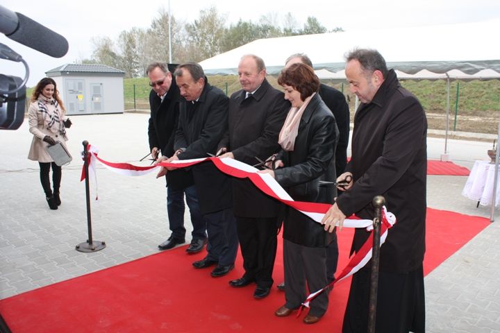 Zdjęcie z galerii
