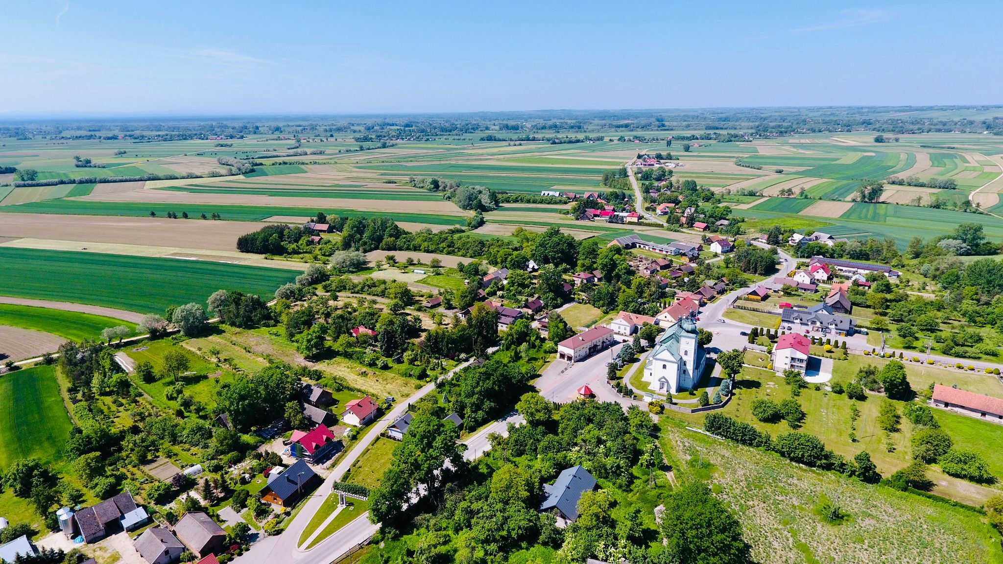 Zdjęcie z galerii