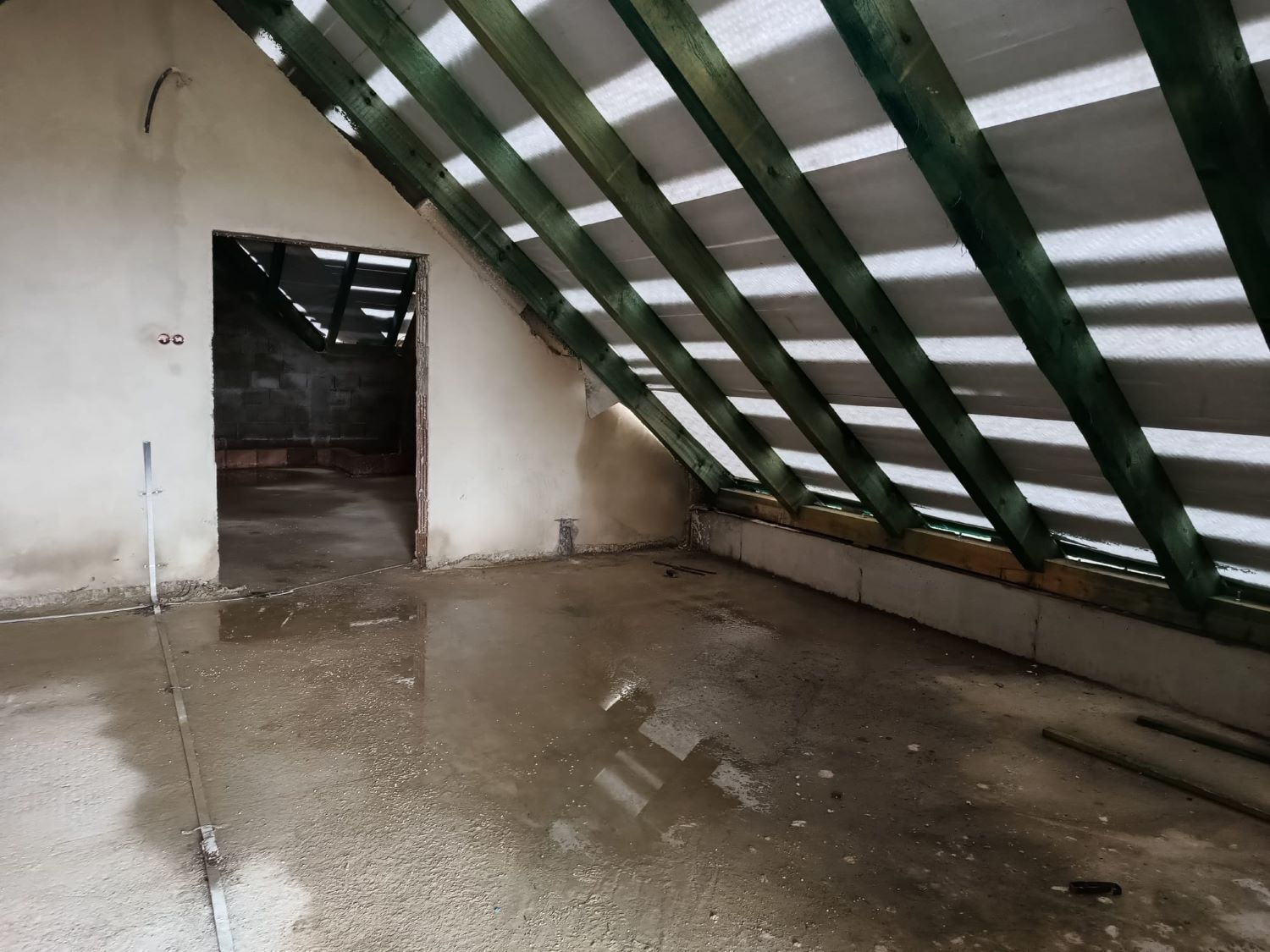 Zdjęcie z galerii