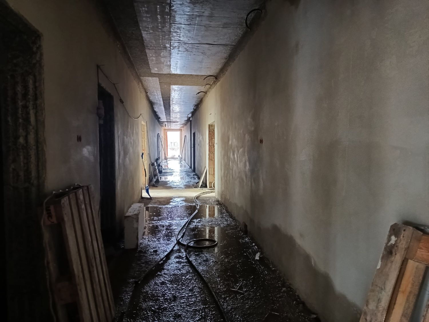 Zdjęcie z galerii