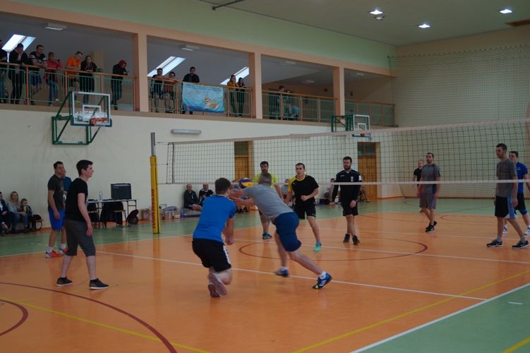 Zdjęcie z galerii