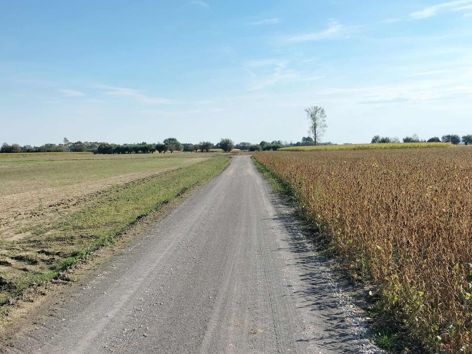 Zdjęcie z galerii