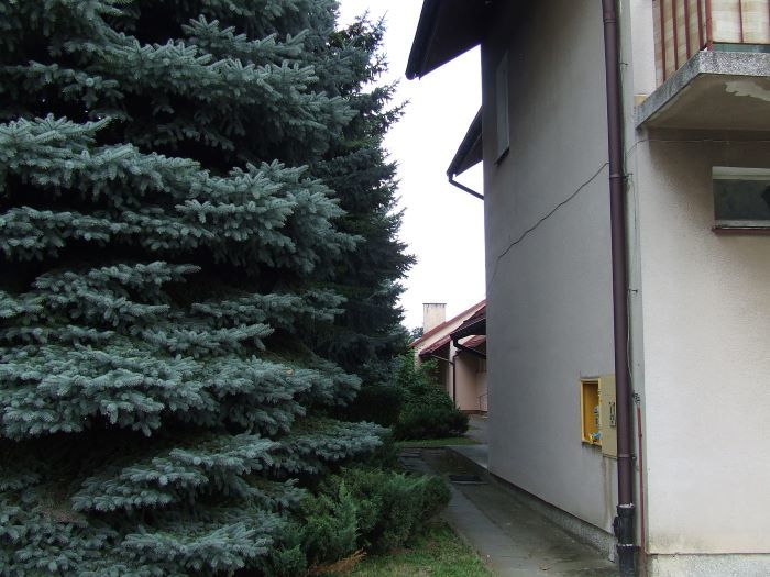 Zdjęcie z galerii