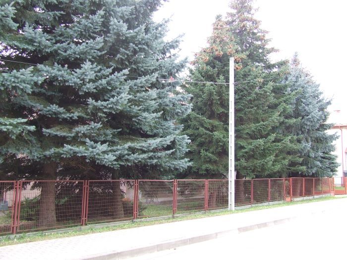 Zdjęcie z galerii