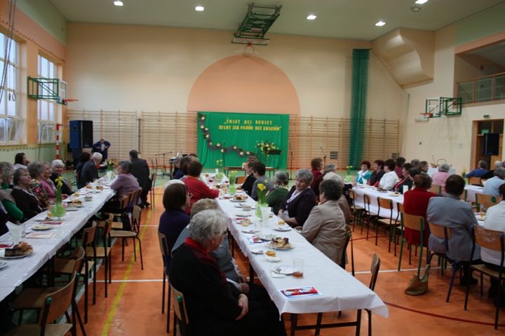 Zdjęcie z galerii