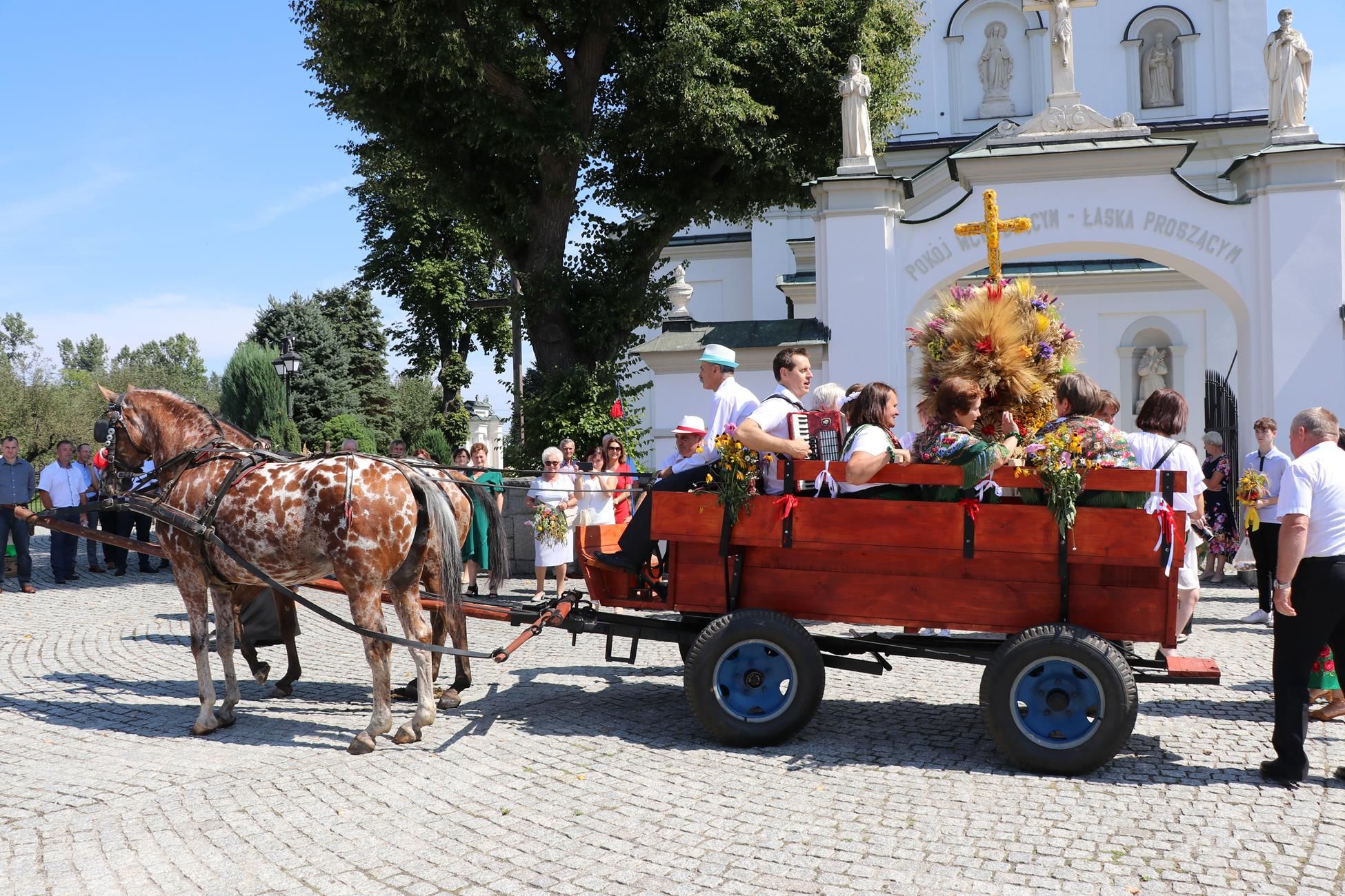 Zdjęcie z galerii
