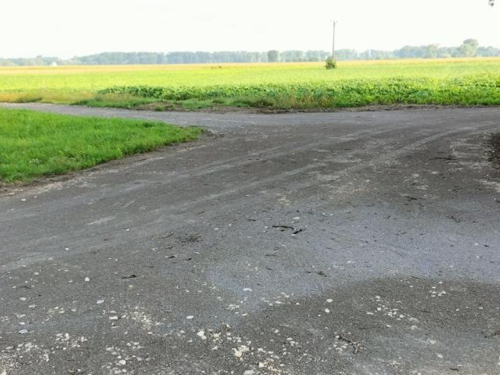 Zdjęcie z galerii