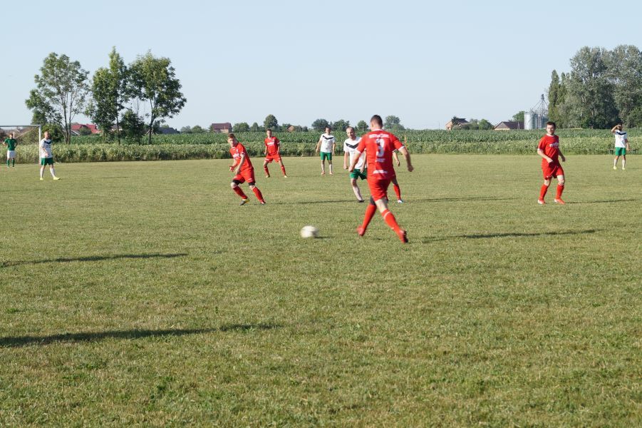 Zdjęcie z galerii