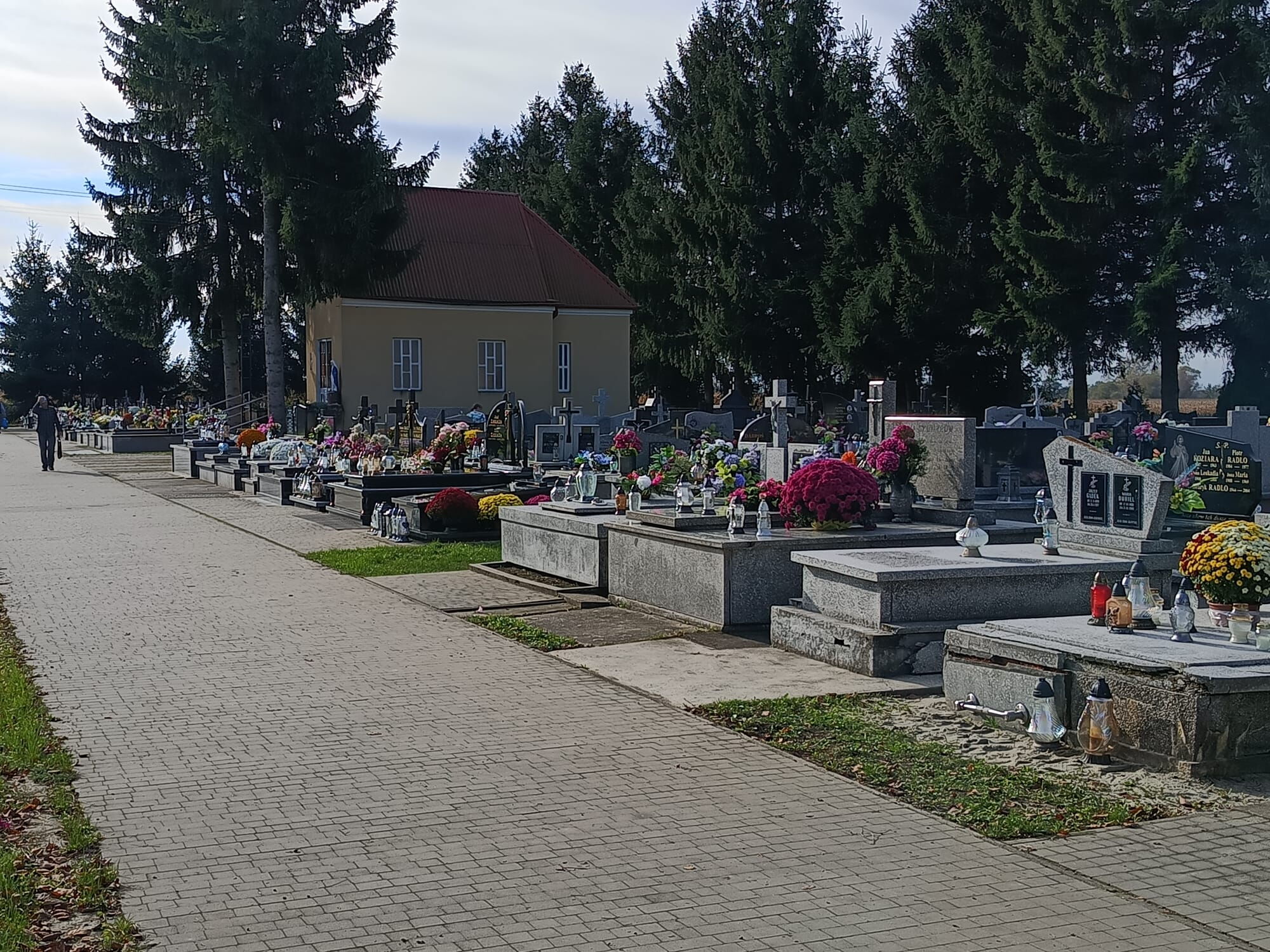 Zdjęcie z galerii