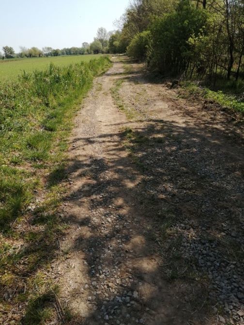 Zdjęcie z galerii